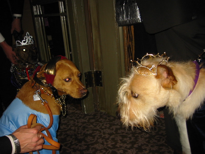 The King and Queen of the Barkus Ball